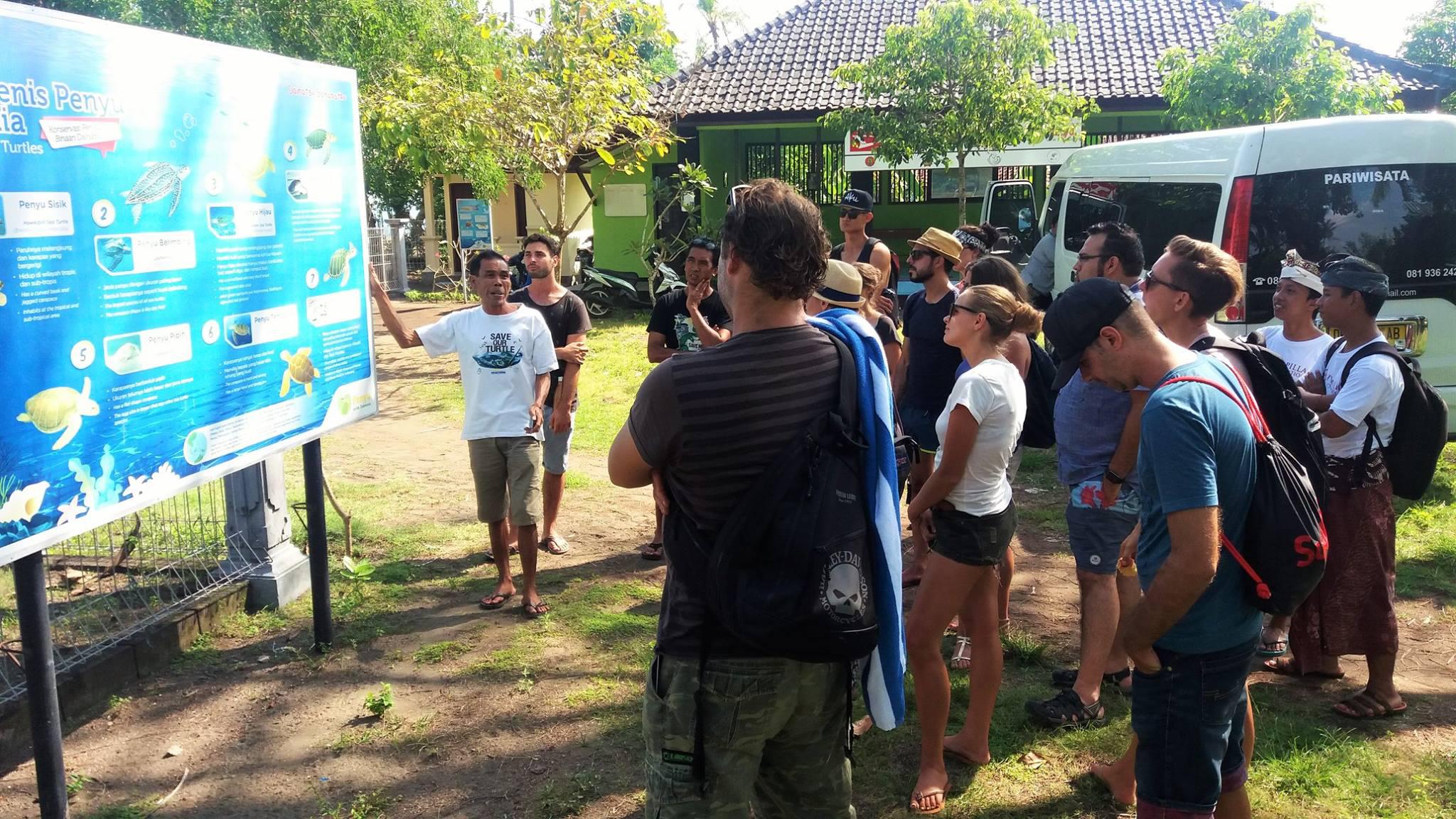 Learning about sea turtles on a Dojo Bali trip to visit local businesses in West Bali.